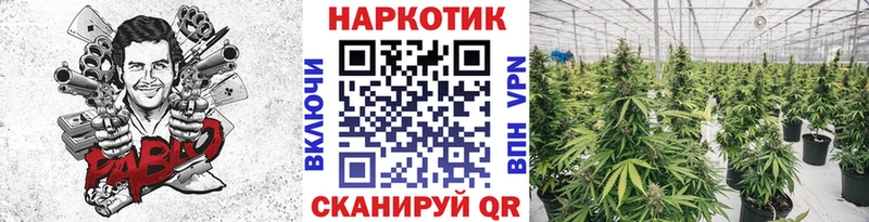 Где продают наркотики Верея Cocaine  Бошки Шишки  А ПВП  ГАШ  Мефедрон 
