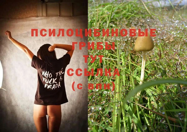 Альфа ПВП Аркадак