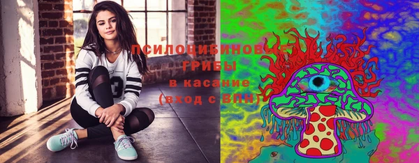 Альфа ПВП Аркадак