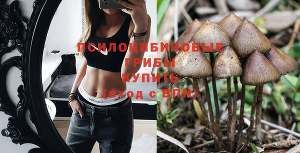 крисы Арсеньев