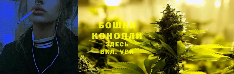 Канабис Amnesia  где продают наркотики  Верея 